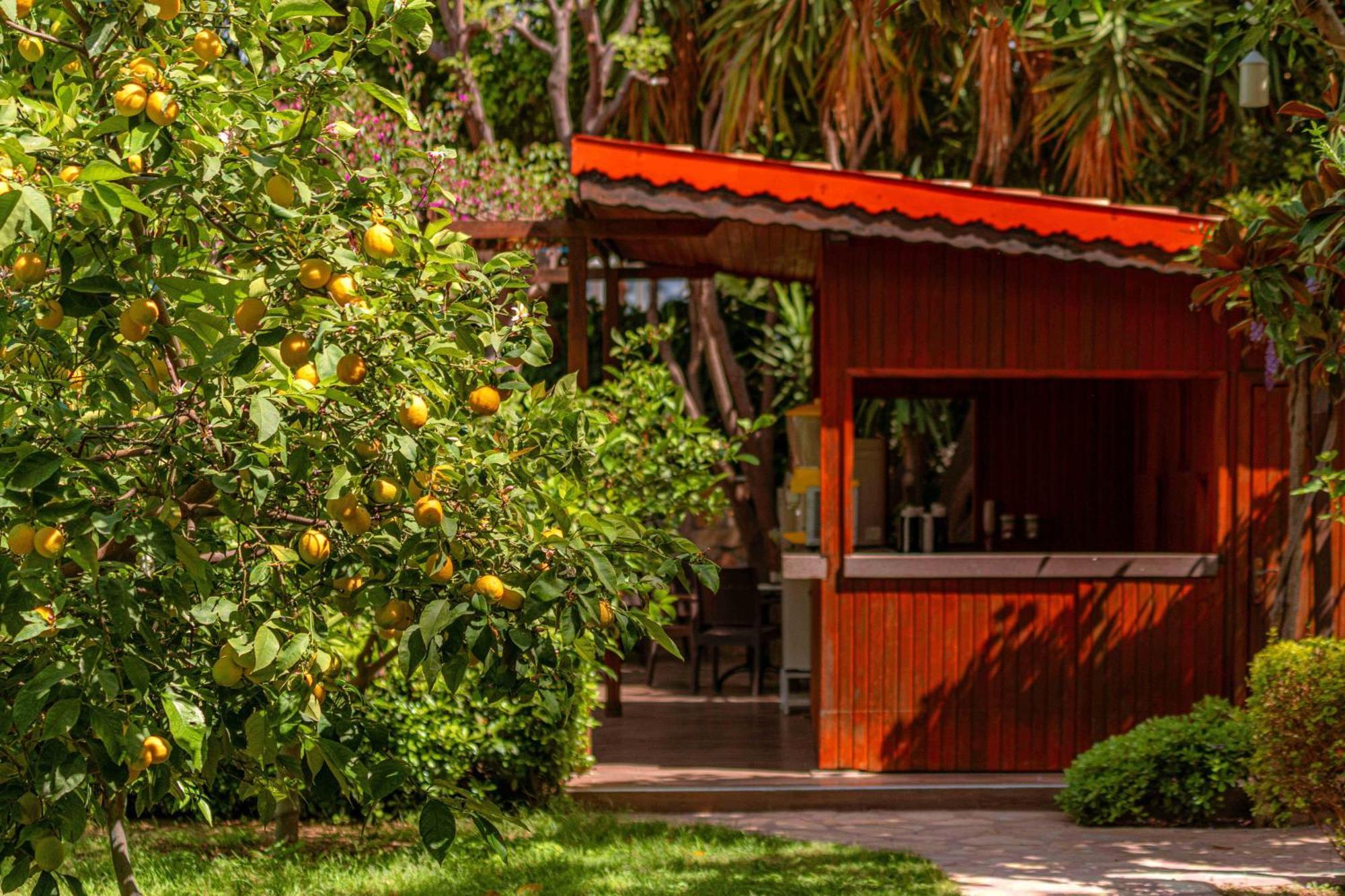 Telatiye Resort Hotel Konakli Exterior photo